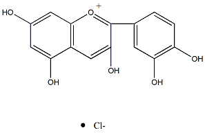 氯化矢車菊素 CAS：528-58-5 中藥對照品 標(biāo)準(zhǔn)品