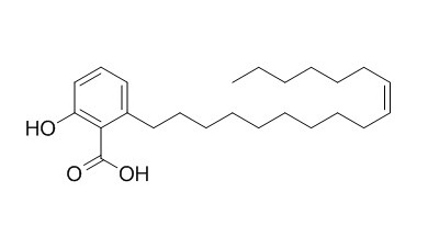 銀杏酚酸（17:1） CAS：111047-30-4 中藥對照品標(biāo)準(zhǔn)品