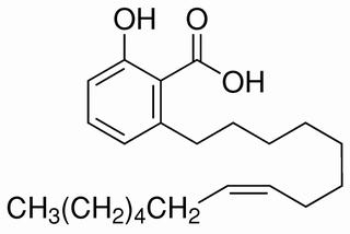 銀杏酚酸（15:1） CAS：22910-60-7 中藥對照品標(biāo)準(zhǔn)品