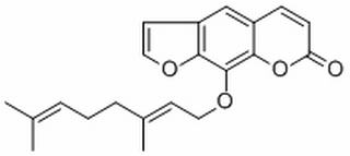 8-香葉草氧基補骨脂素 CAS：7437-55-0 中藥對照品標準品