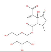 戟葉馬鞭草苷 CAS:50816-24-5 中藥對照品標準品