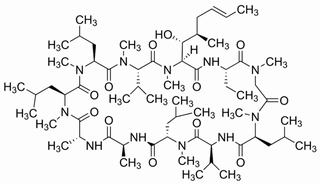 環孢菌素A CAS：59865-13-3 中藥對照品 標準品