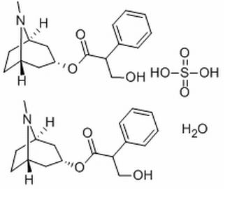 硫酸阿托品-水物 CAS：5908-99-6 中藥對照品標準品