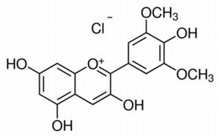 氯化錦葵色素 CAS:643-84-5 中藥對照品標準品