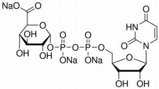 尿苷二磷酸葡糖醛酸 CAS:63700-19-6 中藥對照品標(biāo)準(zhǔn)品