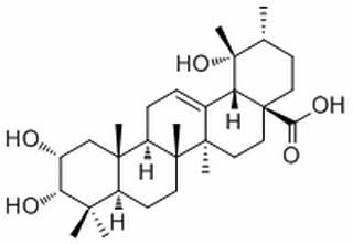 野鴉椿酸(薔薇酸) CAS : 53155-25-2 中藥對(duì)照品