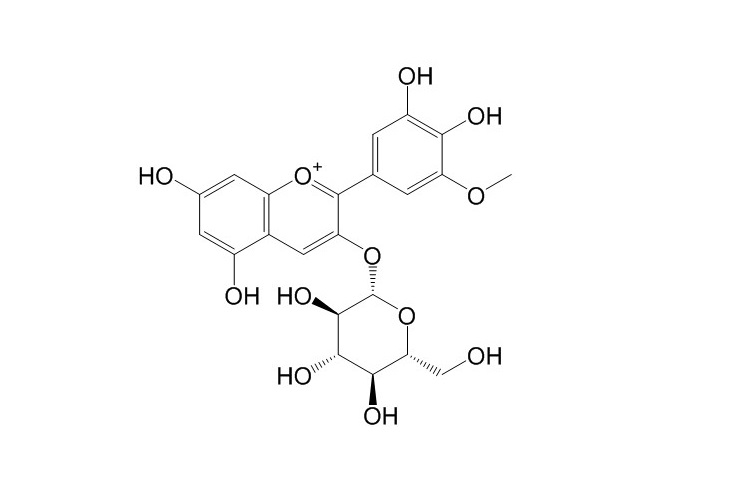 矮牽牛素-3-O-葡萄糖 CAS: 71991-88-3 中藥對照品標準品