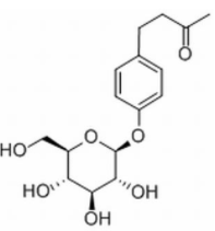 覆盆子酮葡萄糖苷CAS：38963-94-9 中藥對(duì)照品標(biāo)準(zhǔn)品