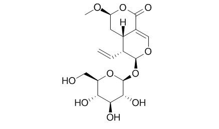 表斷馬錢子苷半縮醛內酯CAS:118627-52-4 中藥對照品標準品