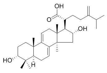 3-表去氫土莫酸 CAS號：167775-54-4 對照品標(biāo)準(zhǔn)品