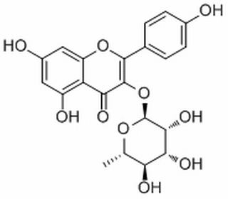 阿福豆苷 CAS:72581-71-6  中藥對照品標準品