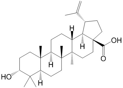 表白樺脂酸（3-表白樺脂酸） CAS號：38736-77-5 對照品 標準品