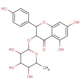 異黃杞苷 CAS號(hào)：30987-58-7 中藥對(duì)照品標(biāo)準(zhǔn)品