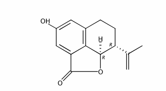 2-Hydroxyplatyphyllide CAS號：72145-19-8 中藥對照品標準品