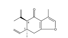 表莪術呋喃烯酮 CAS號：20085-85-2 中藥對照品標準品