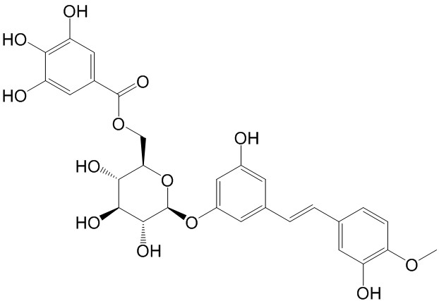 Rhaponticin 6''-O-gallate  CAS號： 94356-23-7 中藥對照品標準品