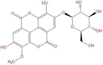 Stachyanthuside A CAS號：864779-30-6 中藥對照品標準品