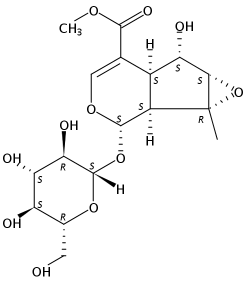 Phlorigidoside C CAS號：276691-32-8 中藥對照品標(biāo)準(zhǔn)品