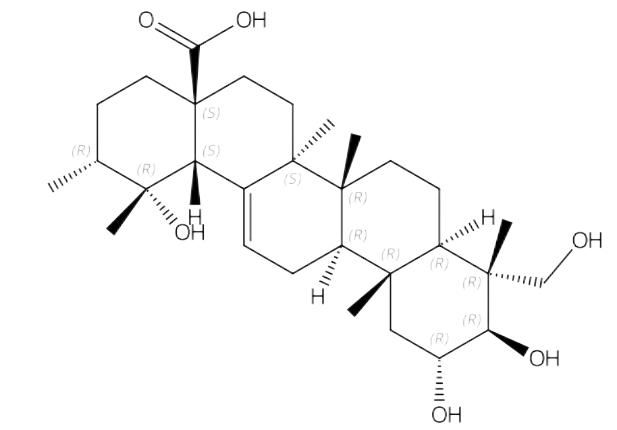 23-羥基委陵菜酸 | CAS No.70868-78-9