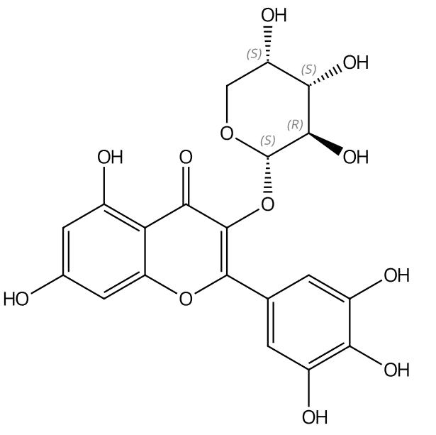 楊梅素-3-α-L-吡喃阿拉伯糖甙 | CAS No.132679-85-7