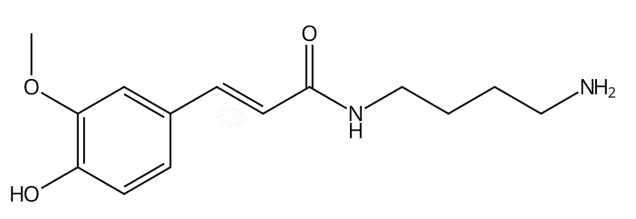 阿魏酰丁二胺 | CAS No.91000-11-2