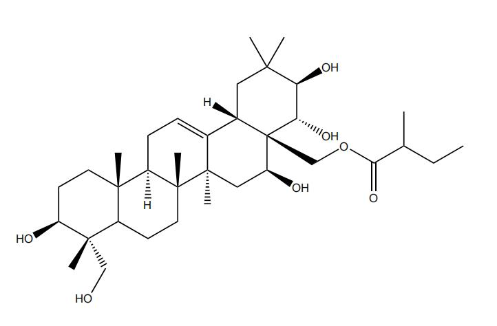 28-O-2S-甲基丁酰基匙羹藤新苷元