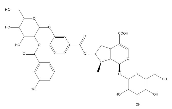 Gentiiridosides A