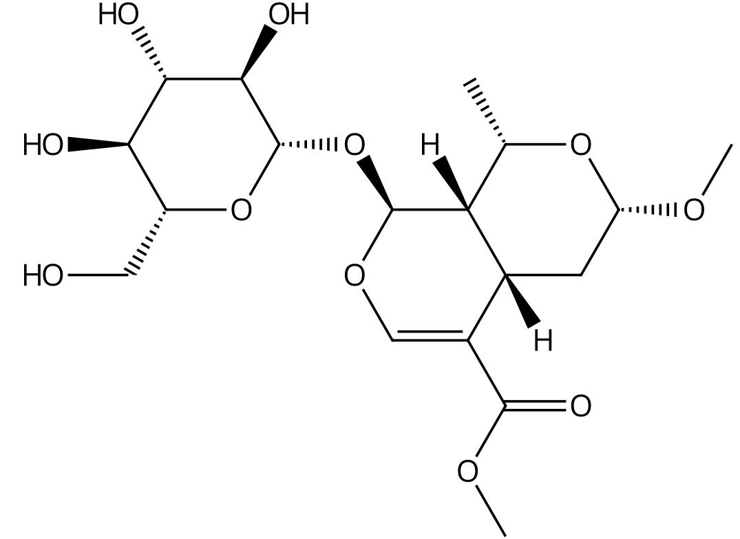 7α-O-甲基莫諾苷 丨CAS No.119943-45-2