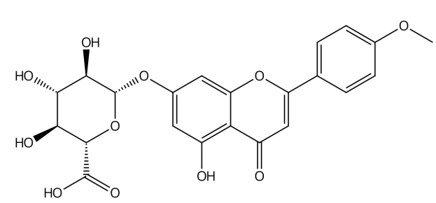 金合歡素-7-O-葡萄糖醛酸苷 | CAS No.38226-83-4