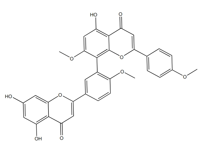 榧黃素 | CAS No.481-45-8