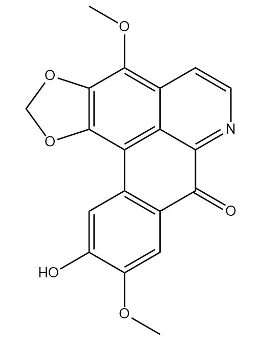 Filiformine | CAS No.208252-25-9