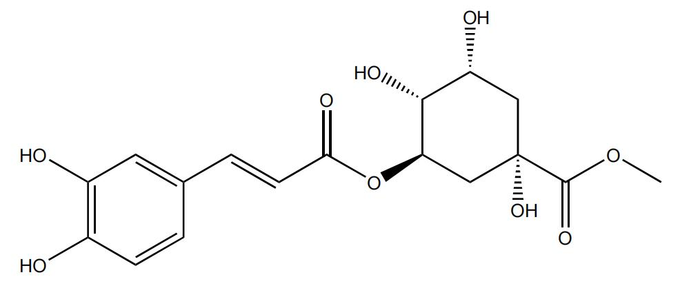 綠原酸甲酯 | CAS No.123483-19-2